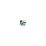 Southern Aloha - Daytona Beach - Die-cut stickers - Image 2